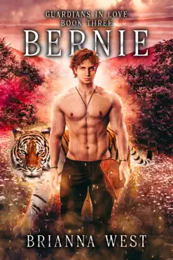 bernie book cover image