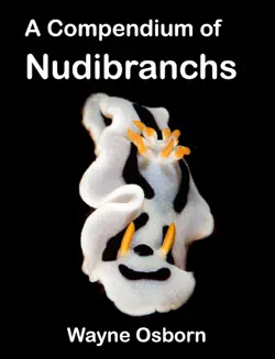 a compendium of nudibranchs imagen de la portada del libro
