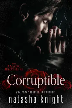 corruptible book cover image