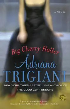 big cherry holler book cover image