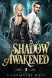 Shadow Awakened synopsis, comments