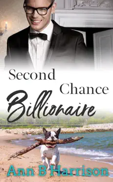 second chance billionaire book cover image