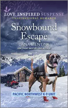 snowbound escape book cover image