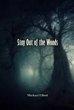 stay out of the woods imagen de la portada del libro