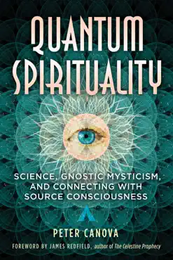 quantum spirituality book cover image