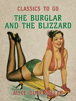 the burglar and the blizzard book cover image