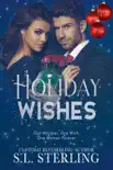 Holiday Wishes synopsis, comments