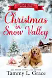 Christmas in Snow Valley synopsis, comments