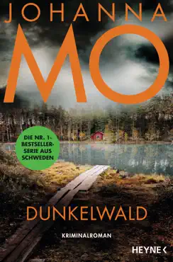 dunkelwald book cover image