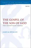 The Gospel of the Son of God synopsis, comments