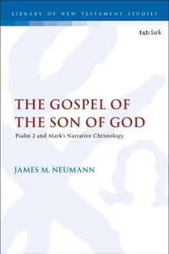the gospel of the son of god book cover image