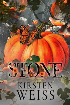 stone book cover image