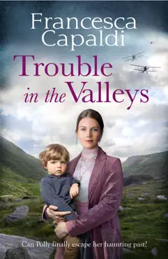 trouble in the valleys book cover image