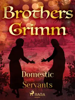 domestic servants book cover image