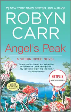 angel's peak book cover image