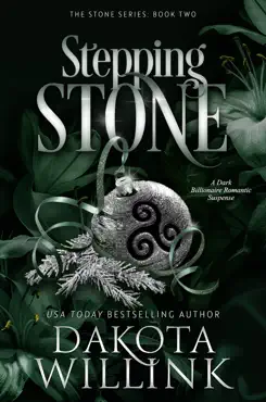 stepping stone book cover image