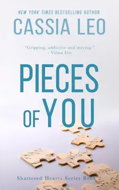 pieces of you book cover image