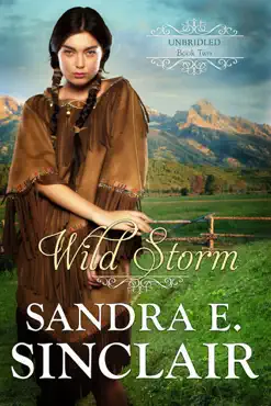 wild storm book cover image