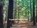 Pepperell Trail Guide reviews