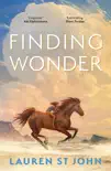 Finding Wonder sinopsis y comentarios