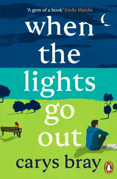 when the lights go out book cover image