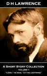 D H Lawrence - A Short Story Collection - Volume 1 sinopsis y comentarios