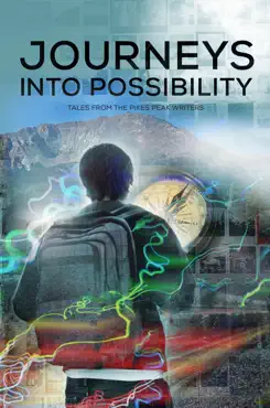journeys into possibility book cover image