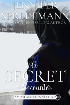 a secret encounter (amish secrets - book 2) book cover image