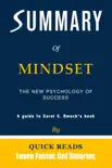 Summary of Mindset synopsis, comments