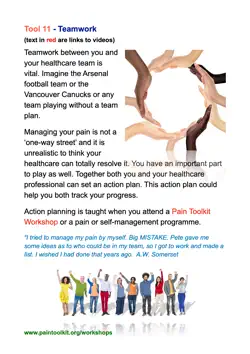 pain toolkit story card 11 book cover image