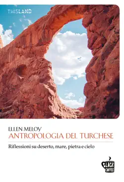 antropologia del turchese book cover image