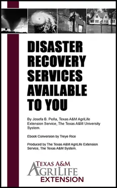 disaster recovery services available to you book cover image