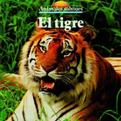el tigre imagen de la portada del libro