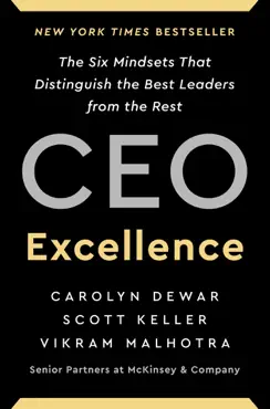 ceo excellence book cover image
