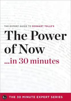 the power of now in 30 minutes book cover image