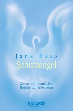 schutzengel book cover image