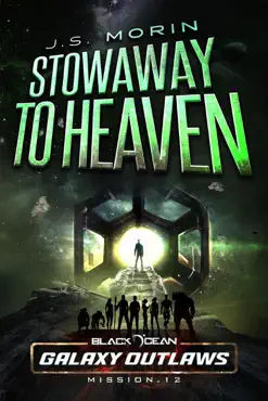 stowaway to heaven book cover image