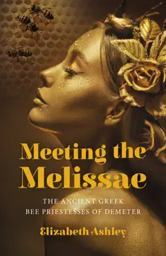 meeting the melissae book cover image