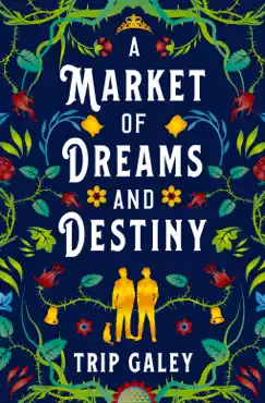 a market of dreams and destiny book cover image