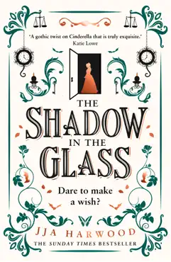 the shadow in the glass book cover image