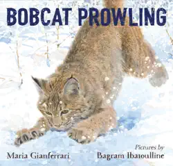 bobcat prowling book cover image