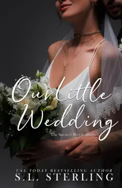 our little wedding book cover image