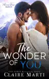 The Wonder of You synopsis, comments