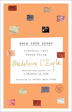 sold into egypt book cover image