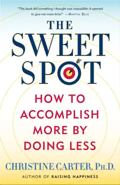 the sweet spot book cover image