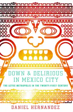 down and delirious in mexico city book cover image