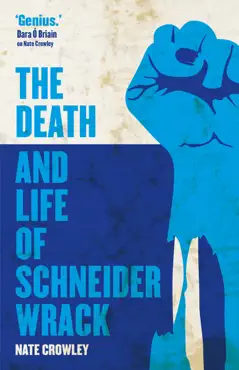the death and life of schneider wrack book cover image