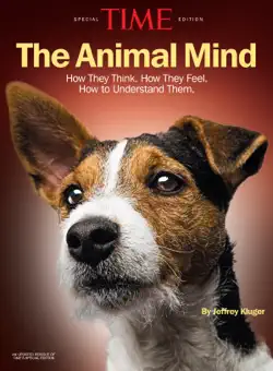 time the animal mind book cover image