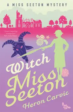 witch miss seeton book cover image