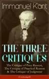 THE THREE CRITIQUES synopsis, comments